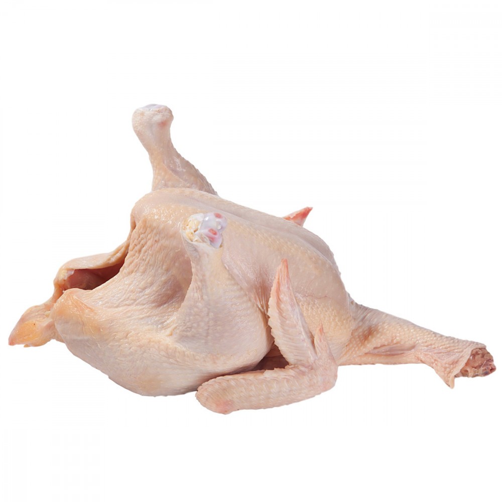 Տնական Աքլոր