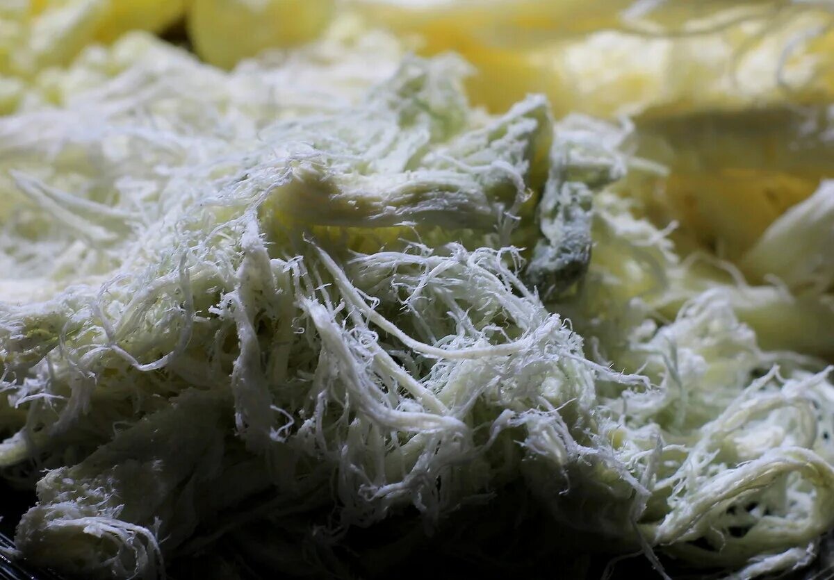 Թել պանրի բորբոսով