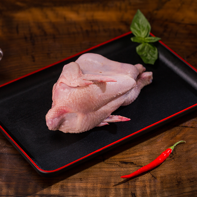 տնական ճուտ